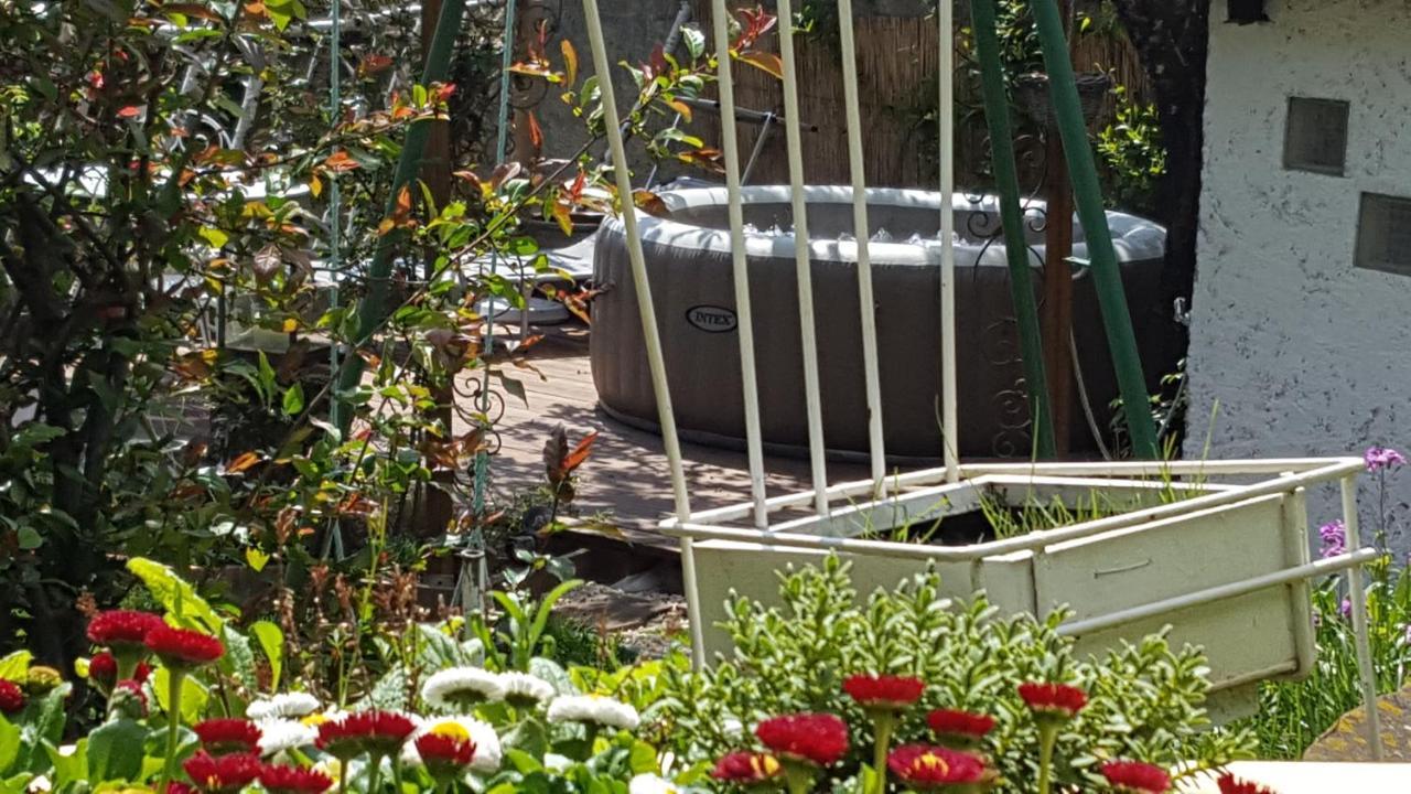 Les Iris D'hote Niedermorschwihr