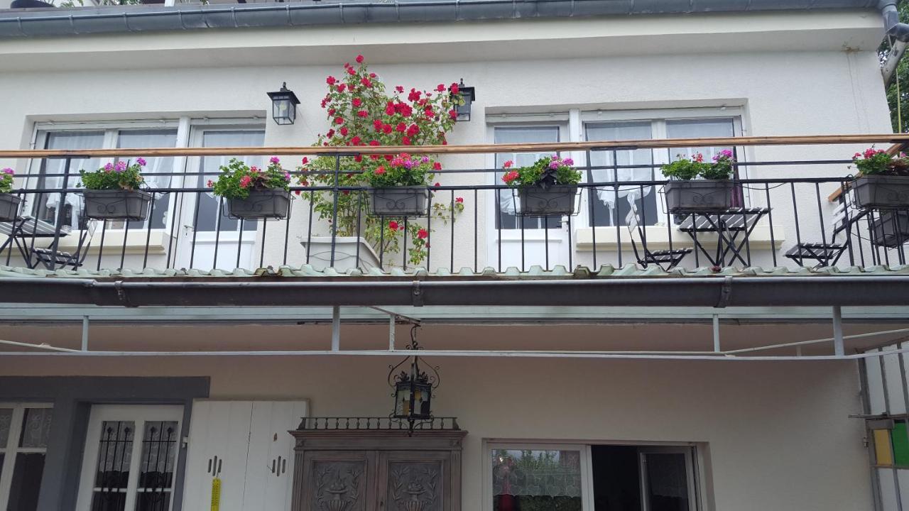 Les Iris D'hote