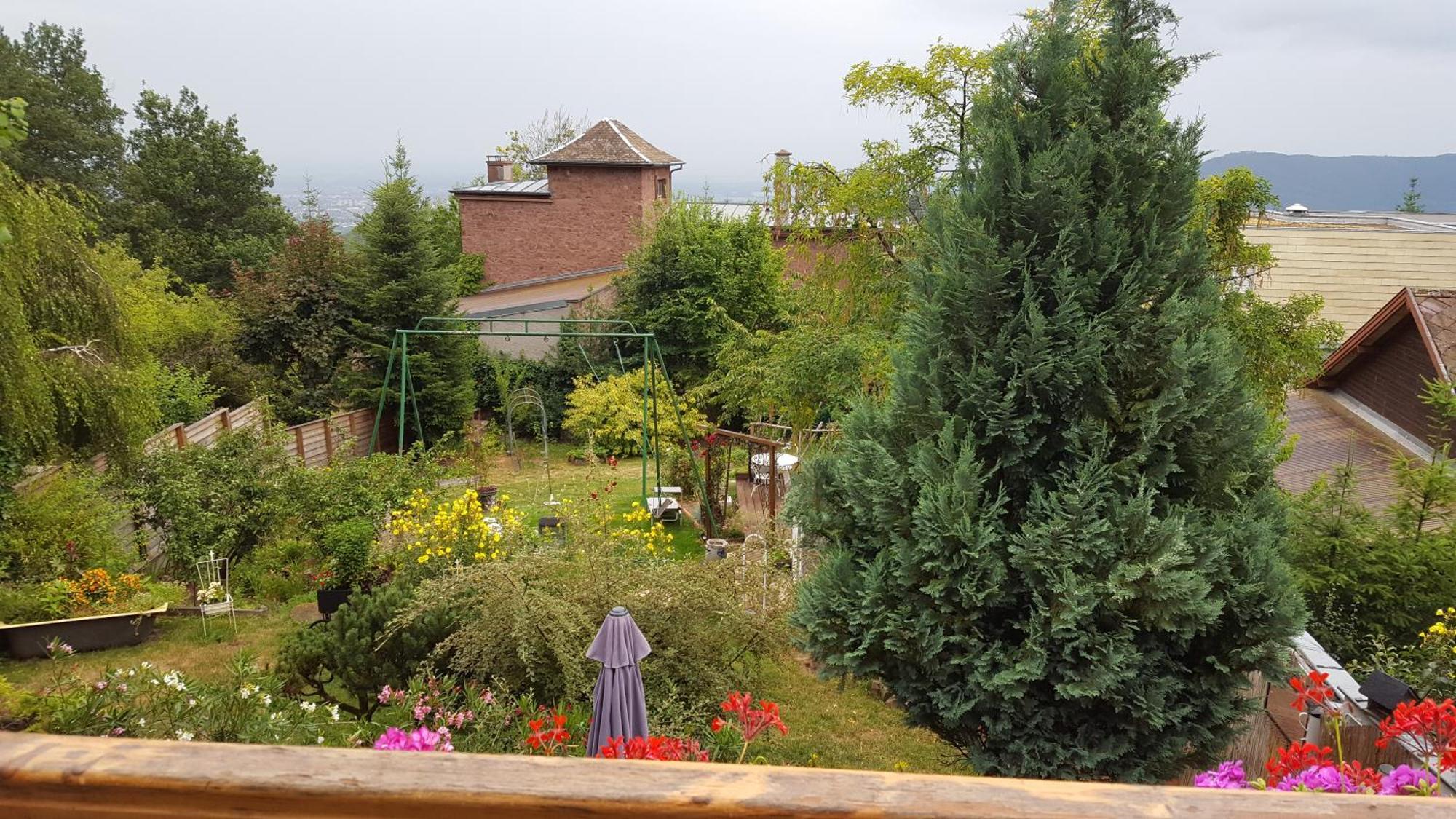 Les Iris D'hote Niedermorschwihr