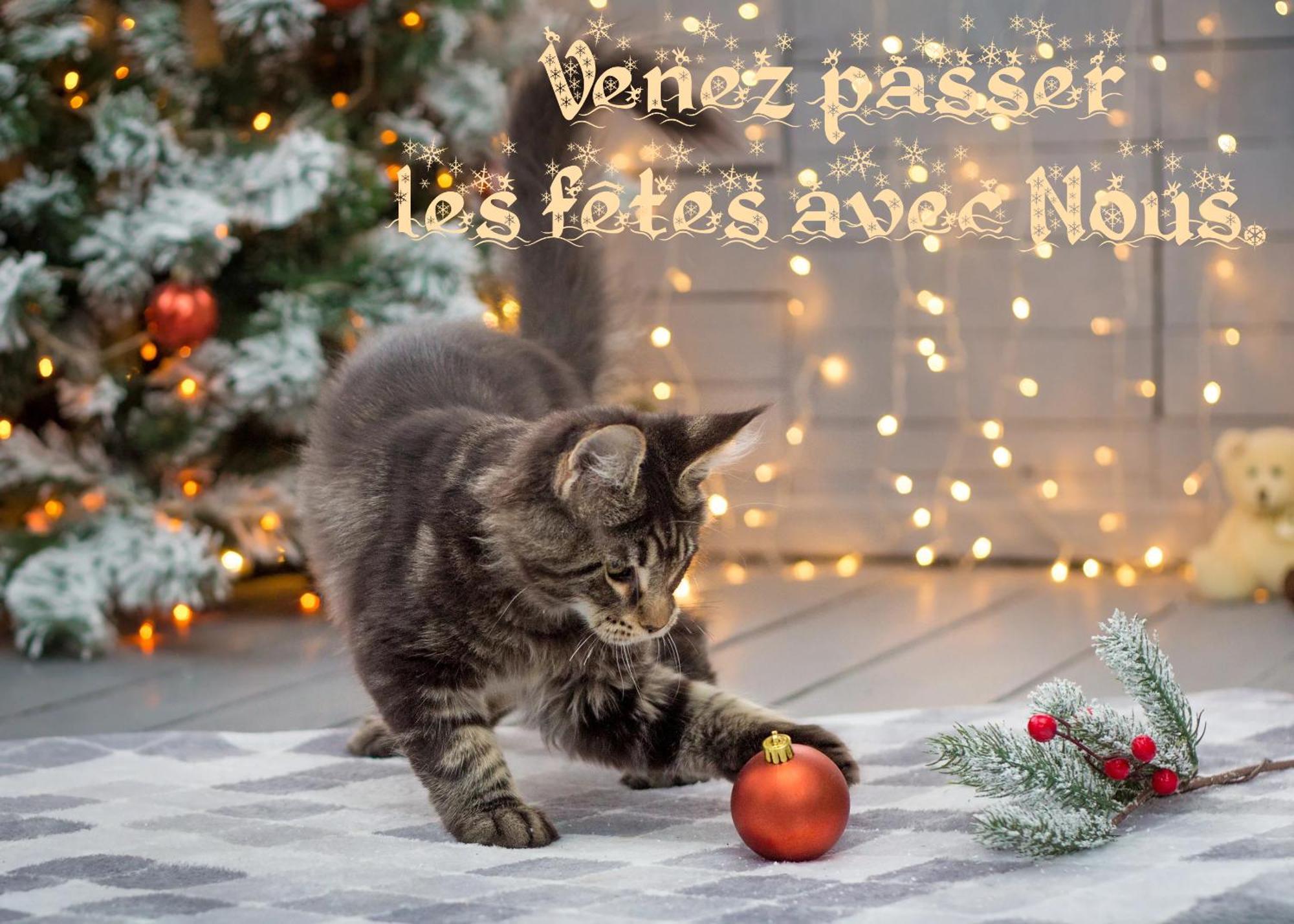 Les Iris D'hote Frühstückspension